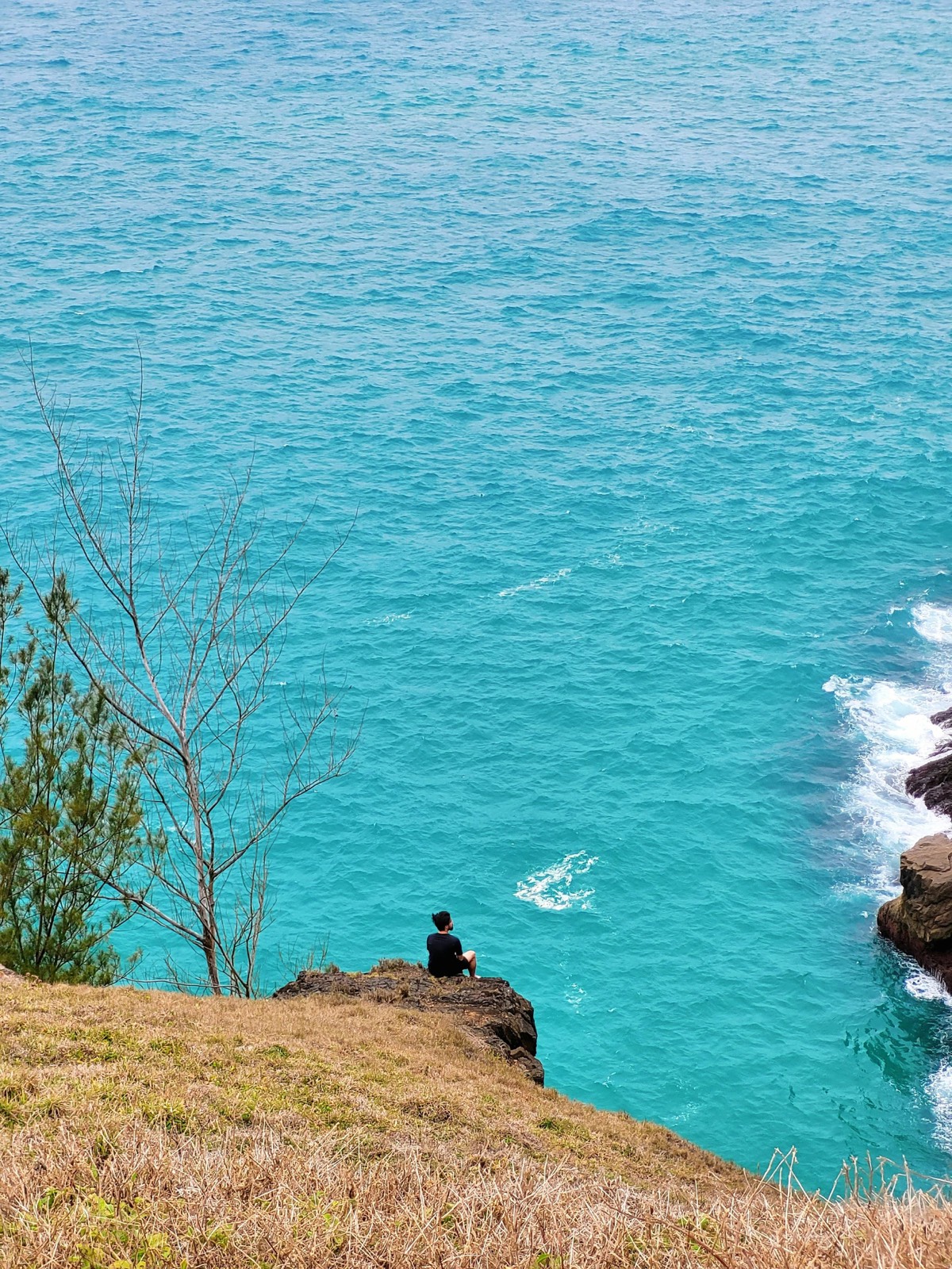 Coastal sourcing region — teal waters